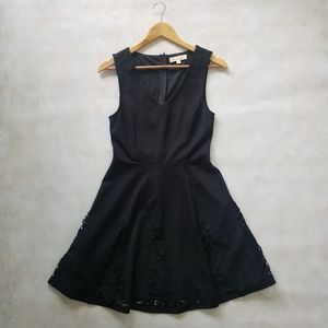 Black Swan Fit and Flare Dress